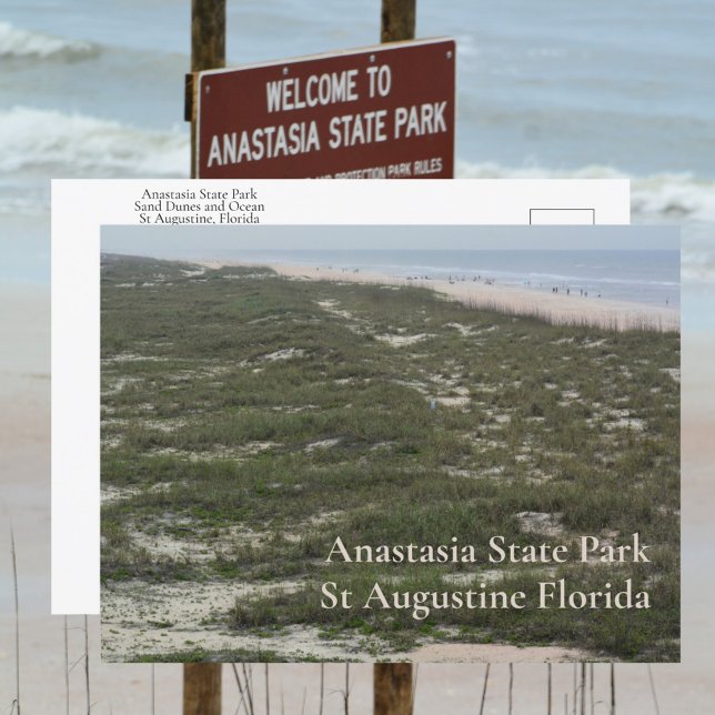 Carte Postale Anastasia State Park St Augustine FL Photographie (Créateur téléchargé)