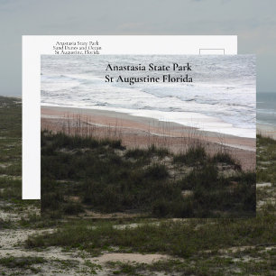 Carte Postale Anastasia State Park St Augustine Florida Travel