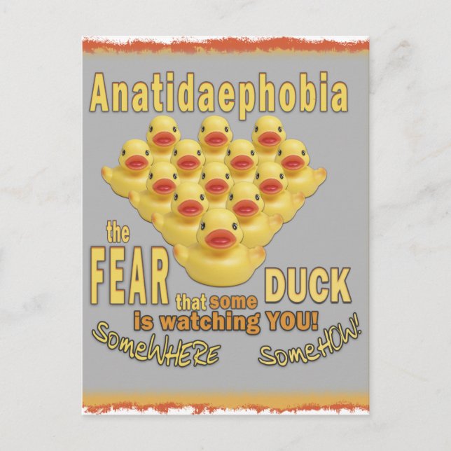 Carte Postale ANATIDAEPHOBIA - CRAINTE DES CANARDS !  Canard en (Devant)