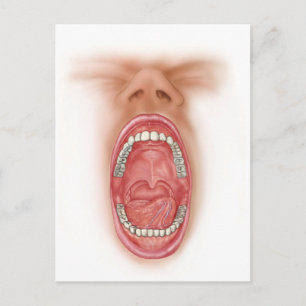 Carte Postale Anatomie de cavité de bouche humaine