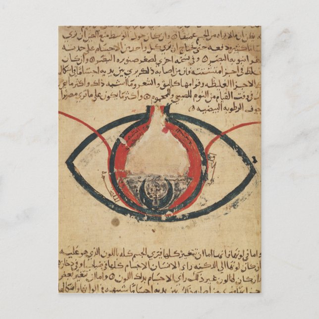 Carte Postale Anatomie de l'oeil, d'un livre sur les maladies oc (Devant)
