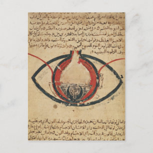 Carte Postale Anatomie de l'oeil, d'un livre sur les maladies oc