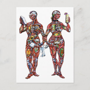 Carte postale Anatomie du barman (homme et femme)
