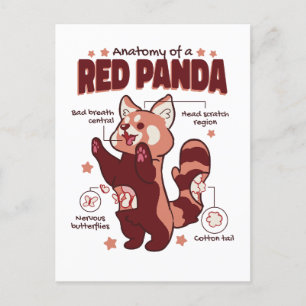 Carte Postale Anatomie d'un Amoureux des animaux de Panda rouge