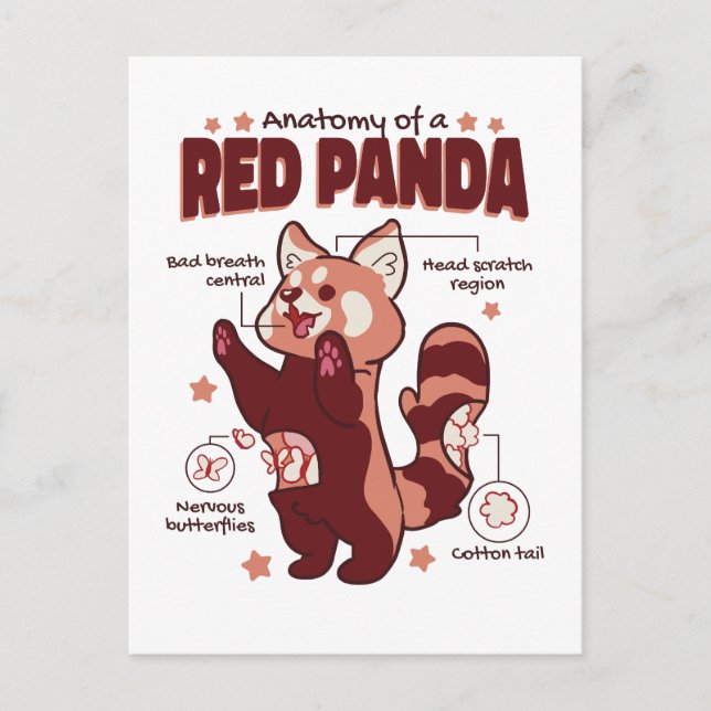 Carte Postale Anatomie d'un Amoureux des animaux de Panda rouge (Devant)