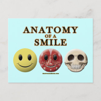 Carte Postale Anatomie d'un sourire
