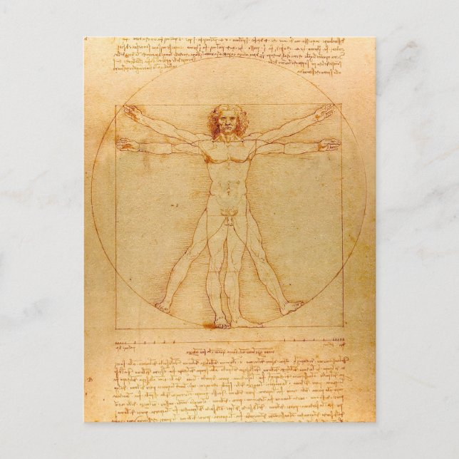 Carte Postale Anatomie humaine, homme de Vitruvian par Leonardo (Devant)