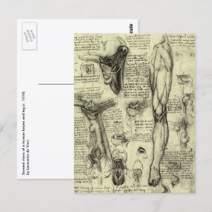 Carte Postale Anatomie humaine vintage Larynx Leg Leonardo da Vi