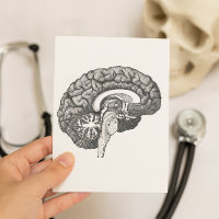 Anatomie médicale vintage illustration cerveau hum