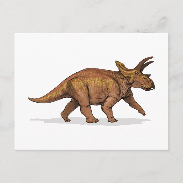 Carte Postale Anchicératops Dinosaur (Devant)