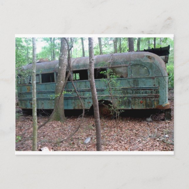 Carte Postale Ancien bus vert abandonné dans les bois (Devant)