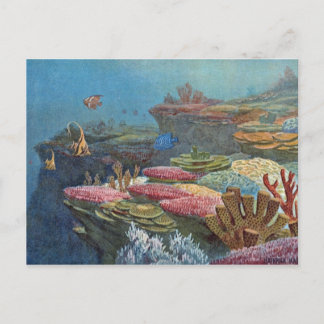 Carte Postale Ancien corail de mer Antique Imprimer