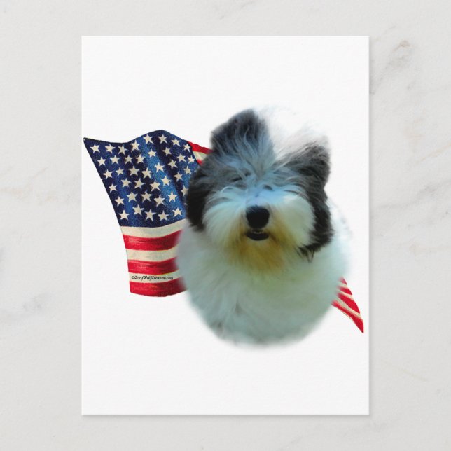 Carte Postale Ancien drapeau de Sheepdog anglais (Devant)