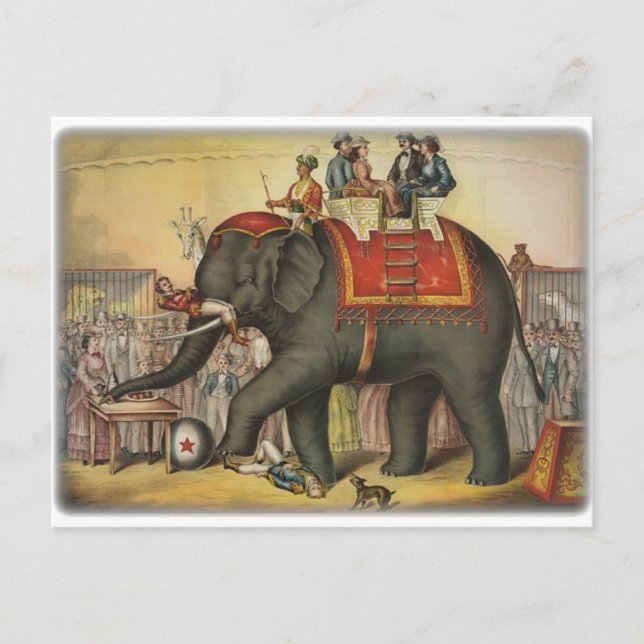 Carte Postale ancien éléphant (Devant)