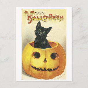 Carte Postale Ancien Halloween Jack-o-lanterne, chat noir
