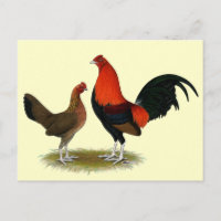 Ancien jeu anglais Bantams : Paire rouge BB