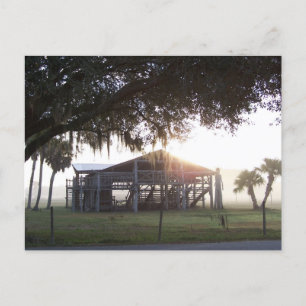 Carte Postale Ancien ranch sous les arbres avec statue de l'homm