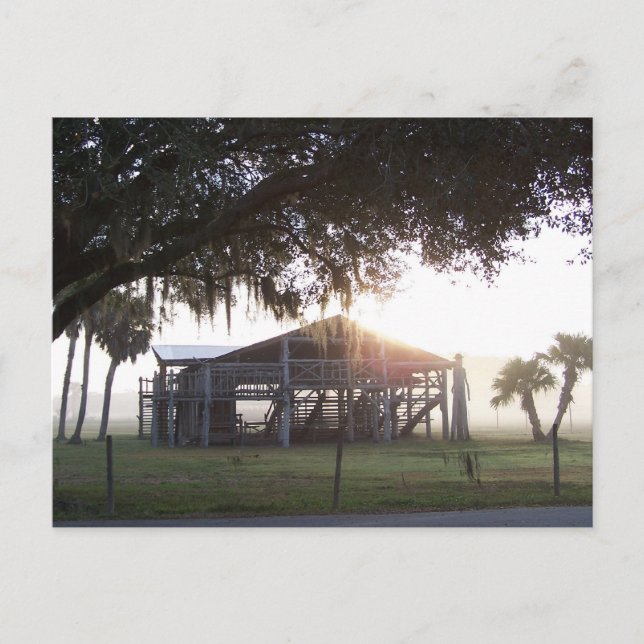 Carte Postale Ancien ranch sous les arbres avec statue de l'homm (Devant)