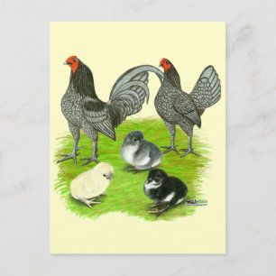 Carte Postale Ancienne Anglaise Famille de Jeux Bleus
