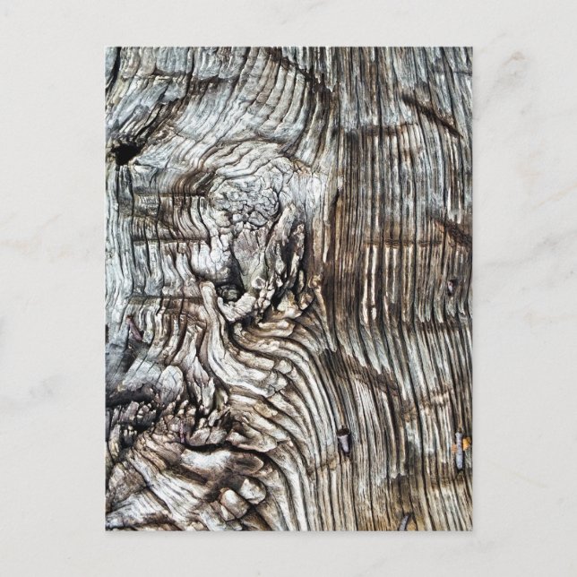 CARTE POSTALE ANCIENNE ANGLETERRE (Devant)