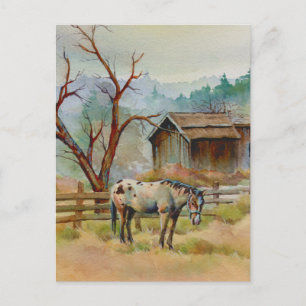 Carte Postale ANCIENNE BARN & APPALOOSA par SHARON SHARPE