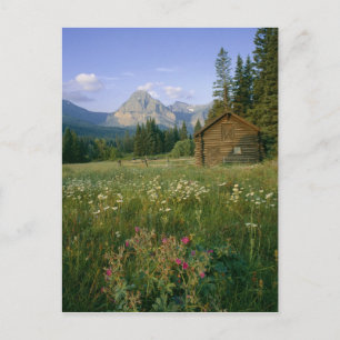 Carte Postale ancienne cabane du Service des parcs dans la vallé