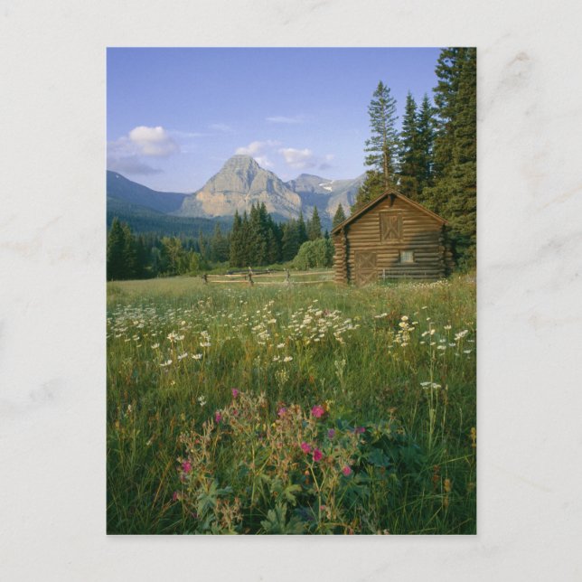 Carte Postale ancienne cabane du Service des parcs dans la vallé (Devant)