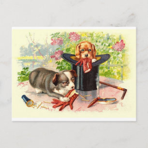 Carte postale ancienne de deux chiots mignons