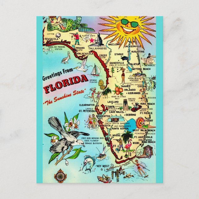 Carte postale ancienne de Floride avec bordure (Devant)
