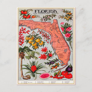 Carte postale ancienne de la récolte de Floride