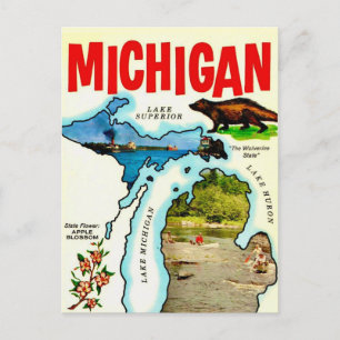 Carte postale ancienne du Michigan State