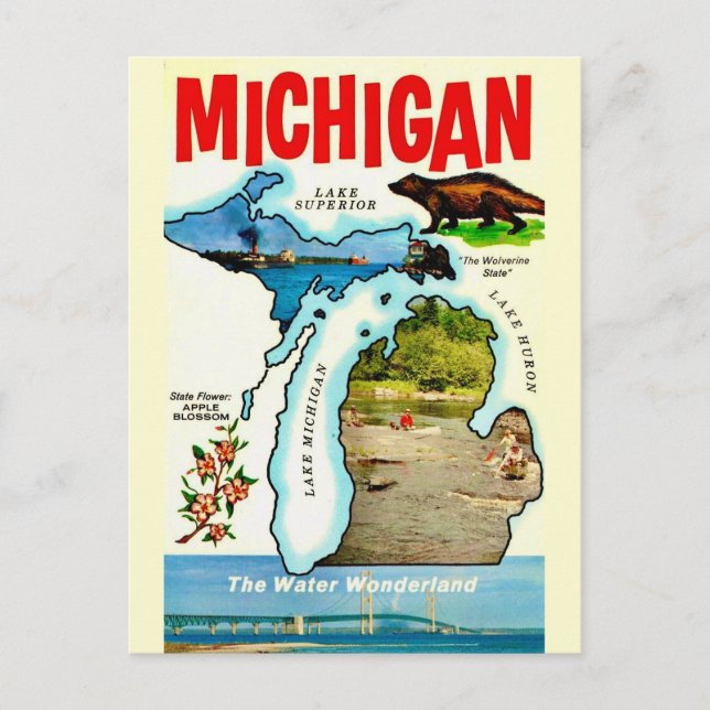 Carte postale ancienne du Michigan State (Devant)