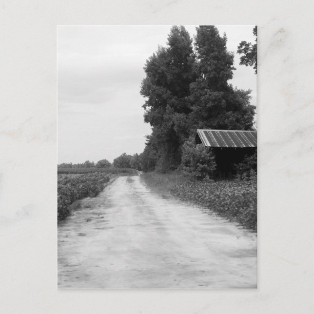 Carte Postale Ancienne grange d'immeuble en Caroline du Nord (Devant)