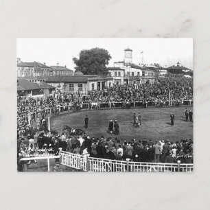 Carte postale ancienne - The Paddock, Hippodrome d