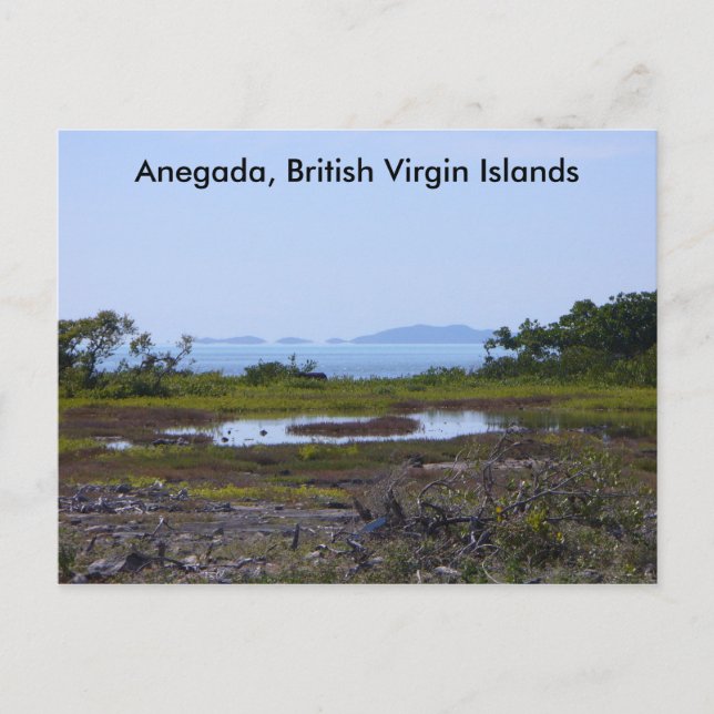 Carte Postale Anegada BVI (Devant)