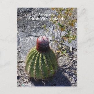 Carte Postale Anegada BVI