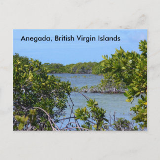Carte Postale Anegada BVI