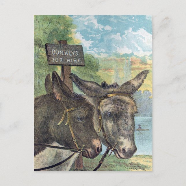 Carte Postale Ânes à louer (Devant)