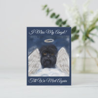 Ange Affenpinscher  