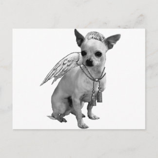 Carte Postale Ange blanc Chihuahua