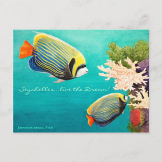 Carte Postale Ange d'empereur