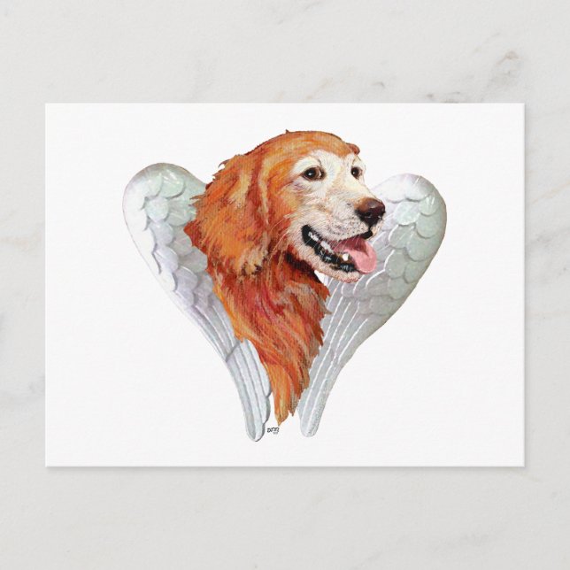 Carte Postale Ange Golden Retriever (Devant)