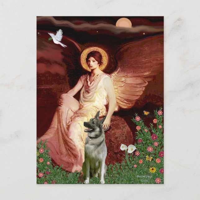 Carte Postale Angel assis - Elkhound norvégien (Devant)