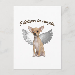 Carte Postale Angel Chihuahua