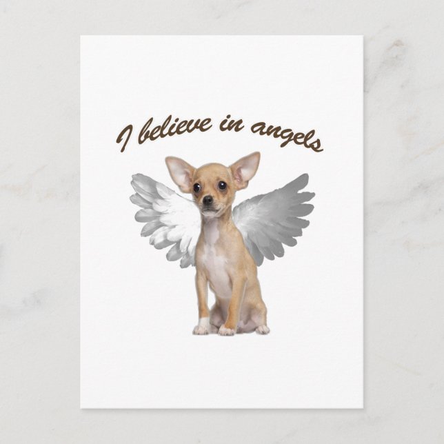 Carte Postale Angel Chihuahua (Devant)