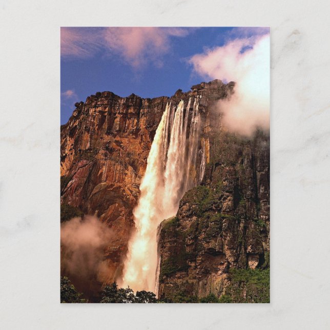 Carte Postale Angel Falls sur Auyan Tepui, Venezuela (Devant)