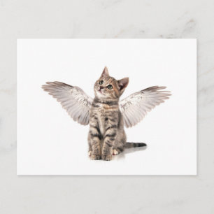 Carte Postale angel kitty