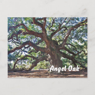 Carte Postale Angel Oak