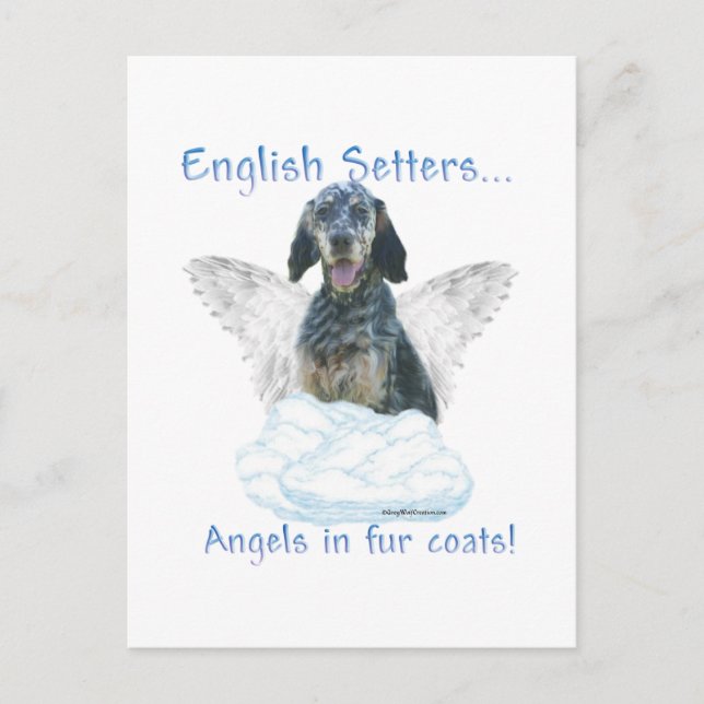 Carte Postale Angel Setter anglais (Devant)