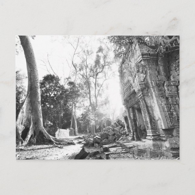 Carte Postale Angkor Cambodge, Détails Ta Prohm (Devant)